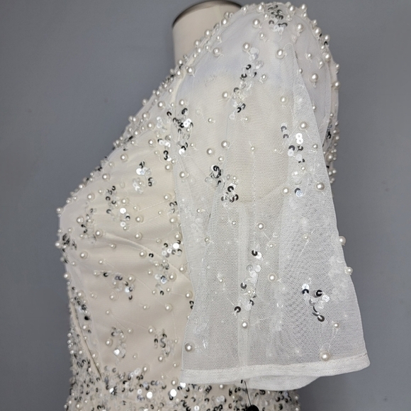 Adrianna Papell | Beaded Short Sleeve Tea Length Formal Dress - Picture 10 of 16